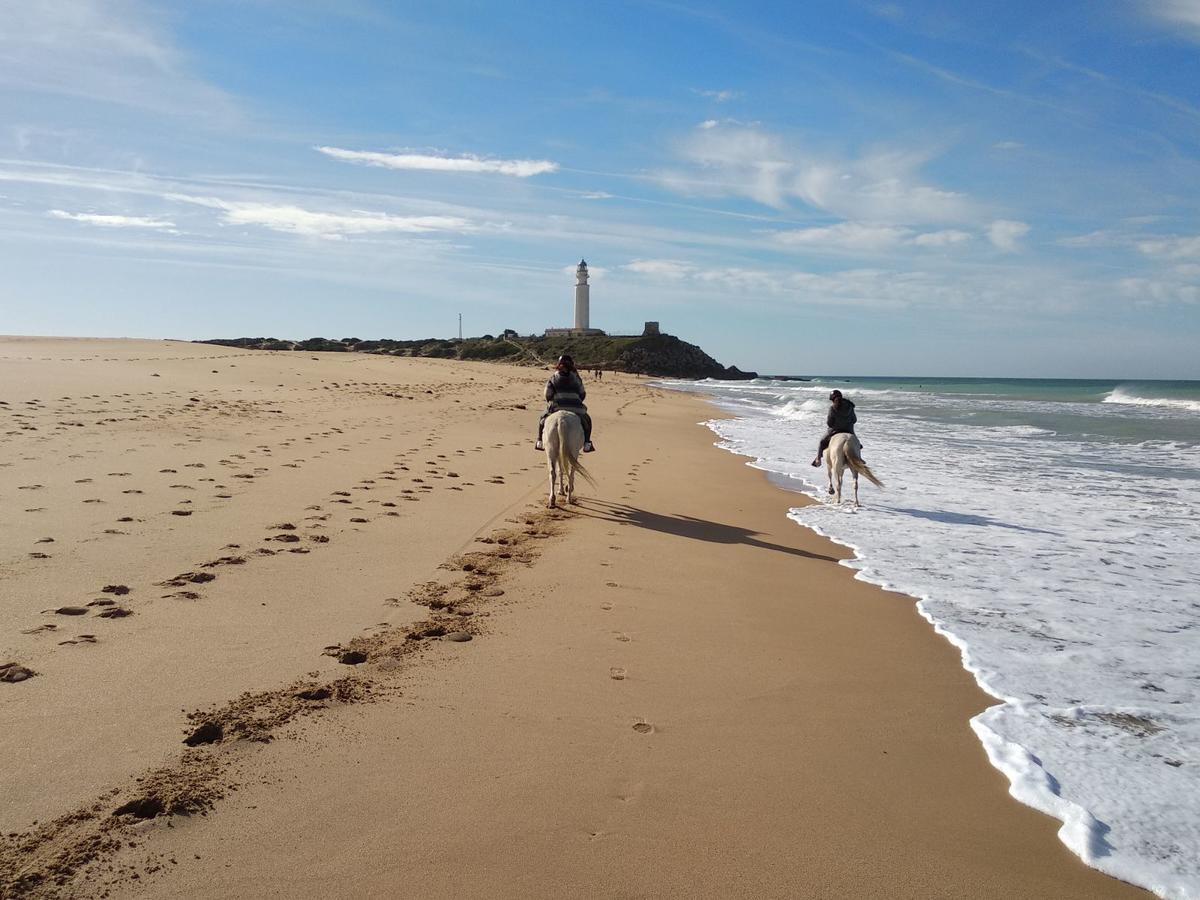Viviendas Turisticas El Mero Zahora Buitenkant foto